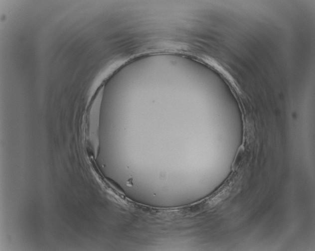 X0000067951477200605041813