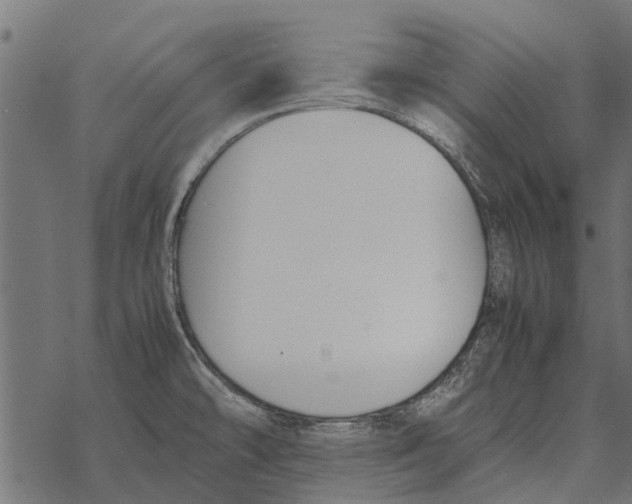 X0000067951478200605041813