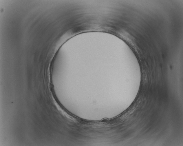 X0000067951479200605041813