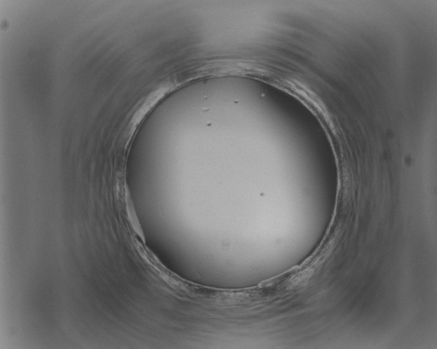 X0000067951481200605041813