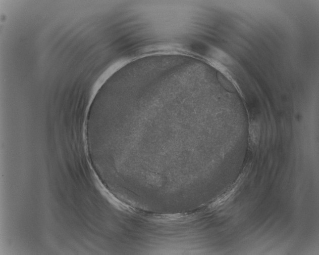 X0000067951482200605041813