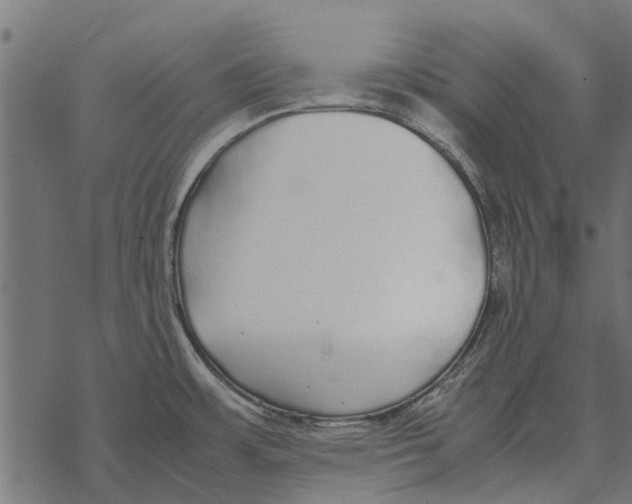 X0000067951483200605041813