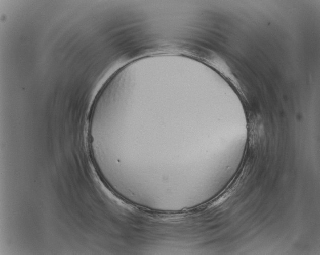 X0000067951484200605041813