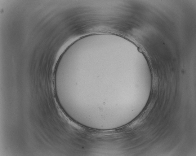 X0000067951486200605041813