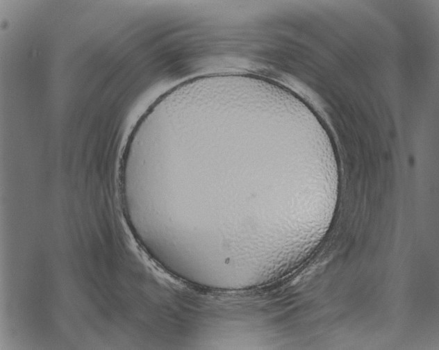 X0000067951488200605041813