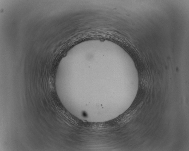 X0000067951490200605041812