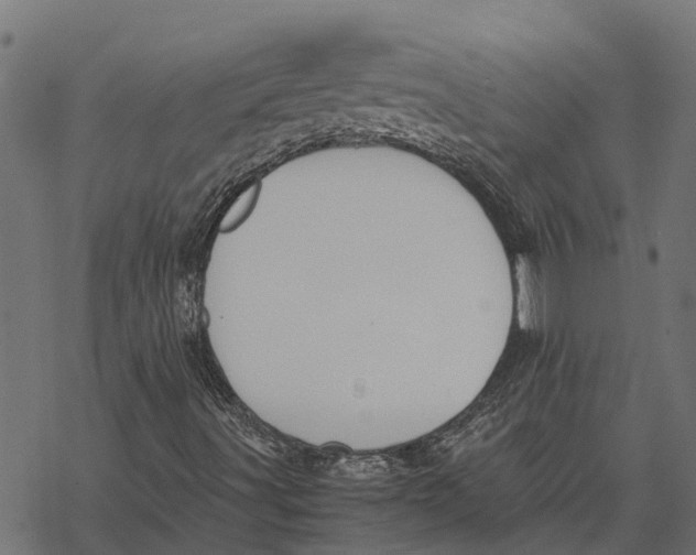 X0000067951491200605041812