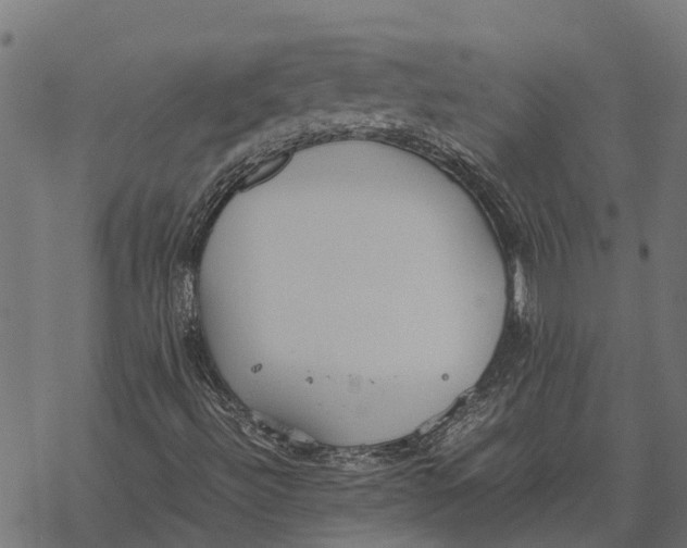 X0000067951492200605041812