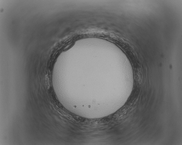 X0000067951493200605041812