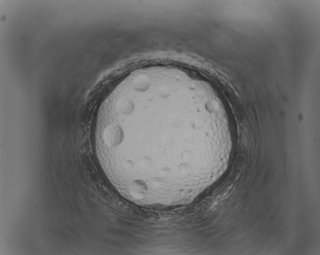 X0000067951494200605041812