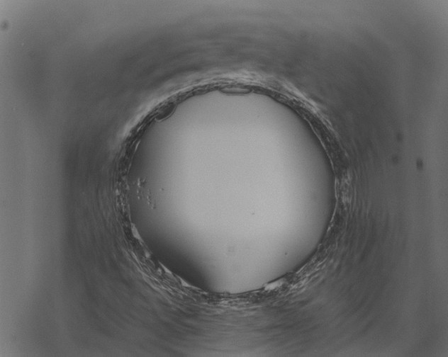 X0000067951496200605041812