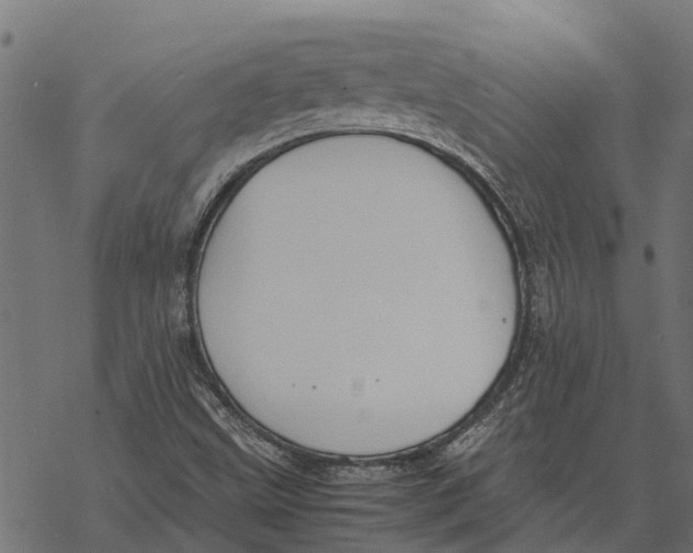 X0000067951499200605041812