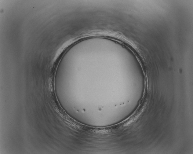 X0000067951501200605041812