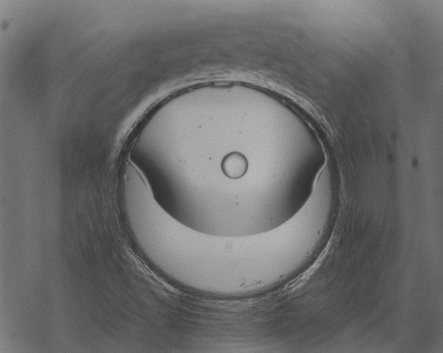 X0000067951502200605041812