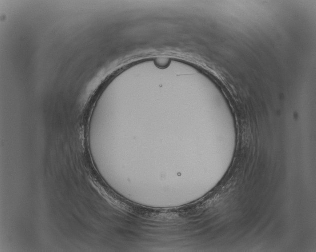 X0000067951503200605041812