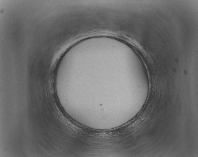 X0000067951504200605041812