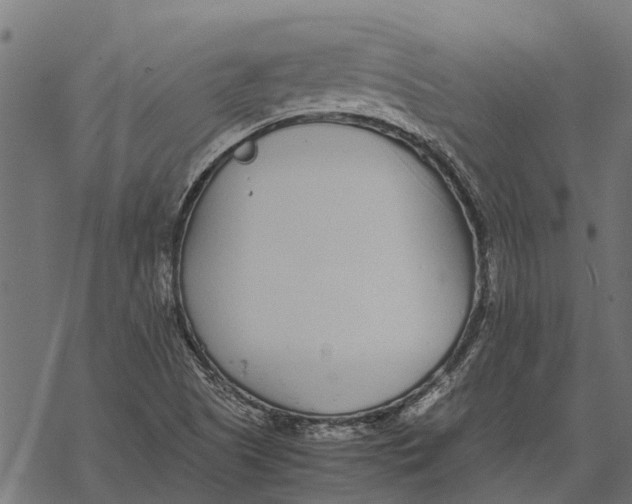 X0000067951505200605041812