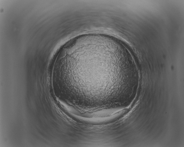 X0000067951506200605041812