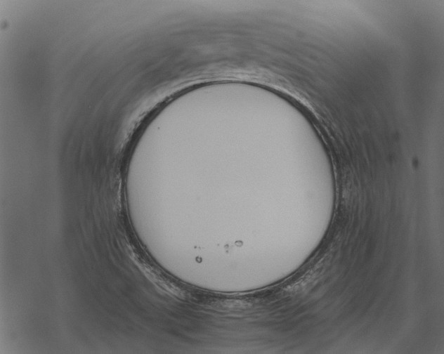 X0000067951507200605041812