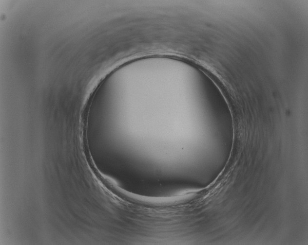 X0000067951508200605041812