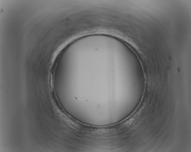 X0000067951510200605041812