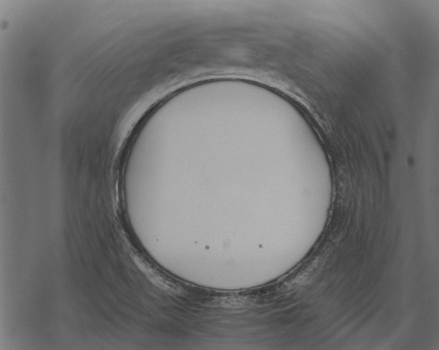 X0000067951511200605041812