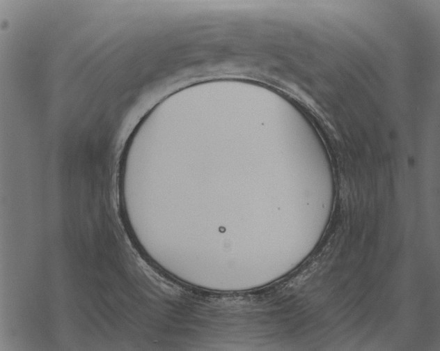 X0000067951512200605041812