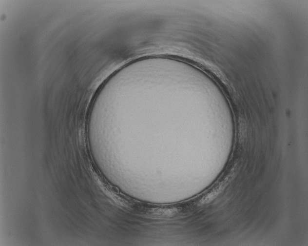 X0000067951513200605041812