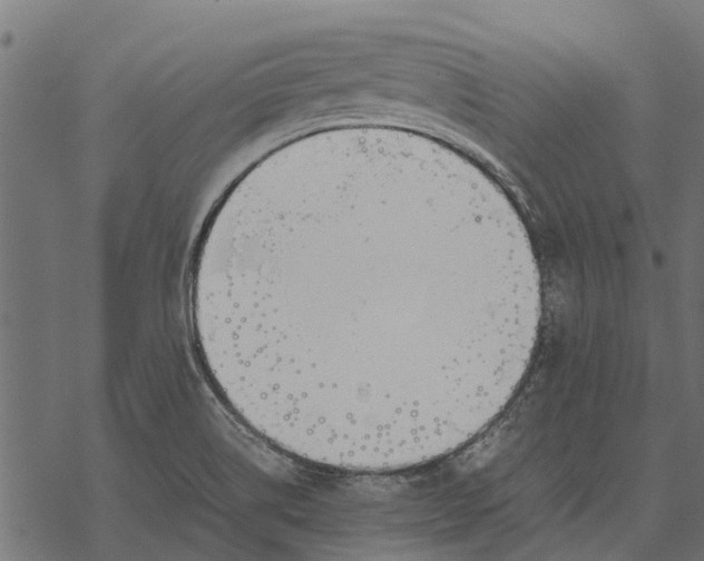 X0000067951514200605041812