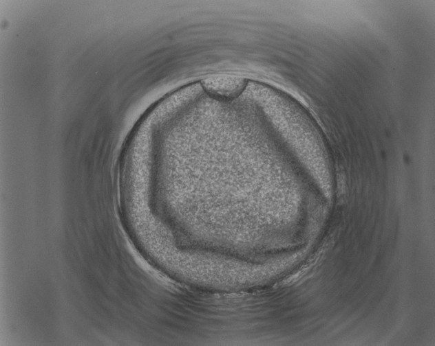 X0000067951515200605041812