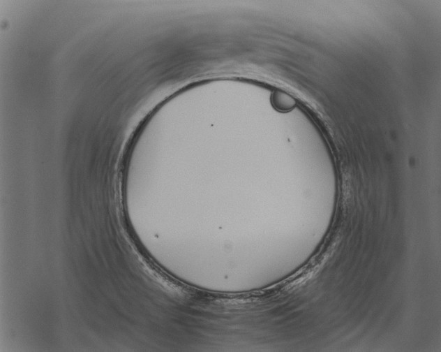 X0000067951517200605041813