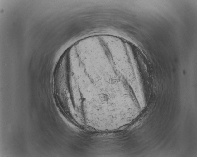 X0000067951519200605041813