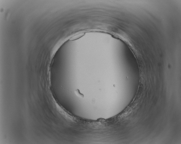 X0000067951524200605041813