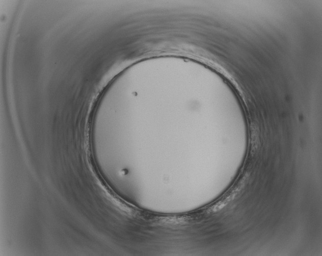 X0000067951525200605041813