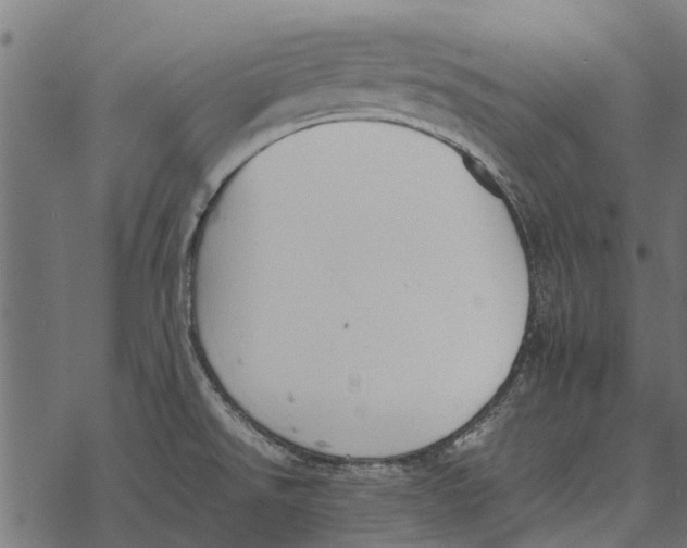 X0000067951526200605041813