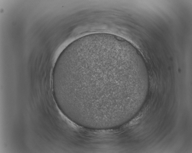 X0000067951527200605041813