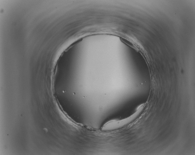 X0000067951528200605041813