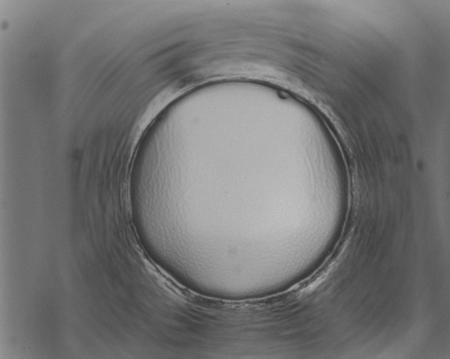 X0000067951529200605041813