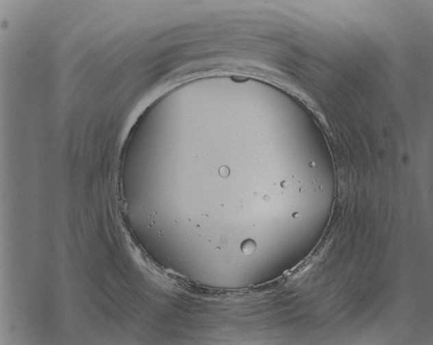 X0000067951530200605041813