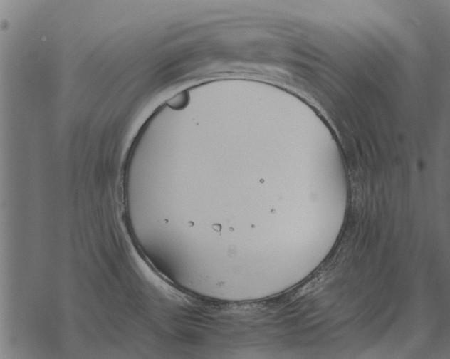 X0000067951531200605041813