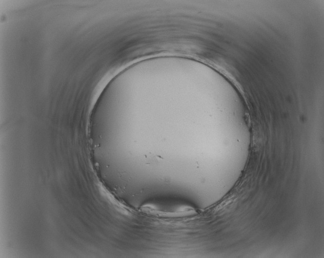 X0000067951532200605041813