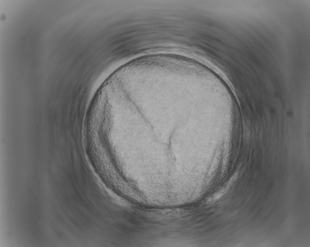 X0000067951533200605041813