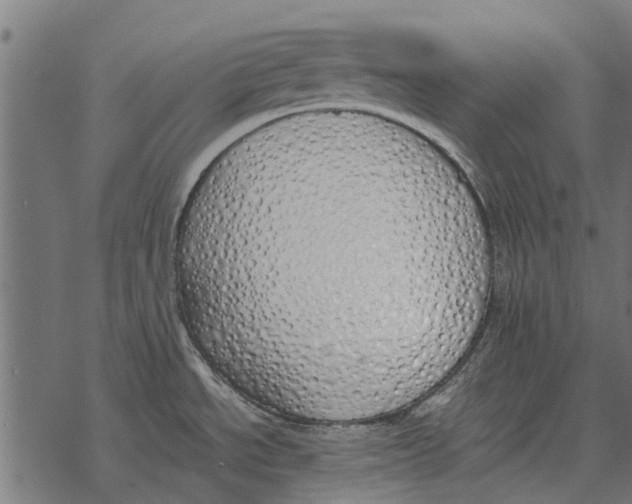 X0000067951534200605041813