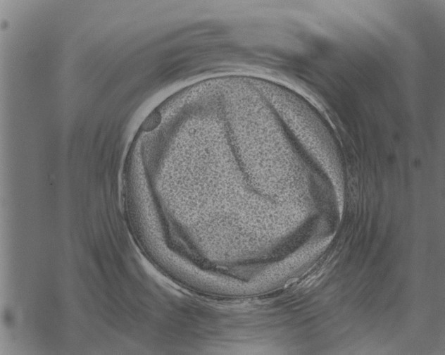 X0000067951535200605041813