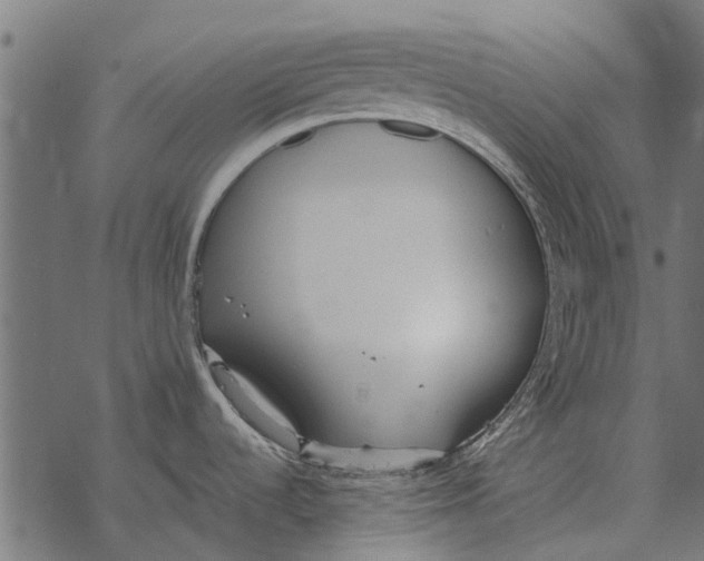 X0000067951536200605041813