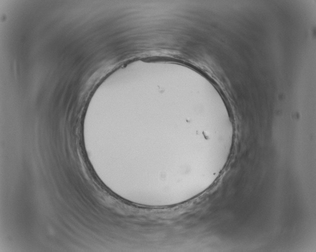 X0000067950001200605112137