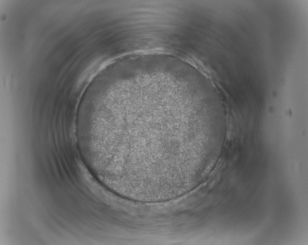 X0000067950002200605112137