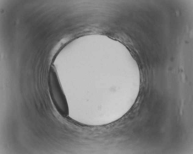 X0000067950003200605112137