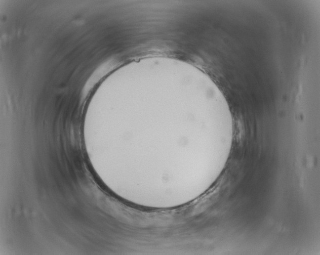 X0000067950004200605112137