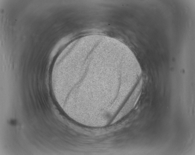 X0000067950006200605112137